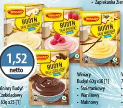 DUO-TES Winiary Budyń Nestle oferta