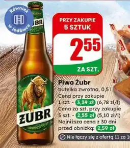 Dino Piwo ŻUBR oferta
