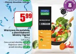 Dino Warzywa na patelnię z ziemniakami Mroźny Ogród oferta