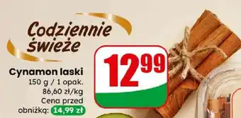 Dino Cynamon laski oferta