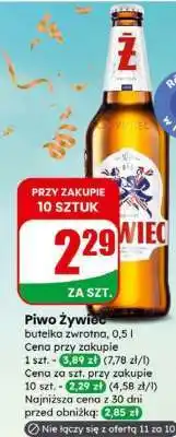 Dino Piwo Żywiec oferta
