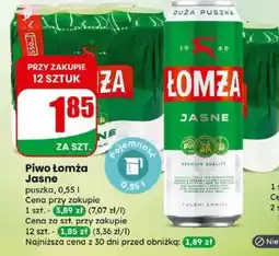 Dino Łomża Jasne oferta