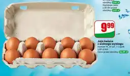 Dino Jaja świeże z wolnego wybiegu oferta