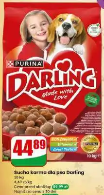 Dino Sucha karma dla psa DARLING oferta