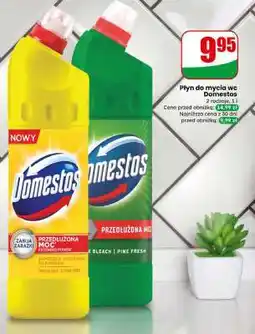 Dino Płyn do mycia WC Domestos oferta