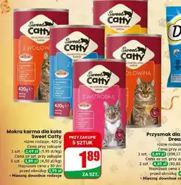 Dino Sweet Catty oferta