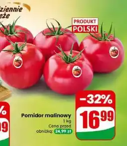 Dino Pomidor malinowy oferta