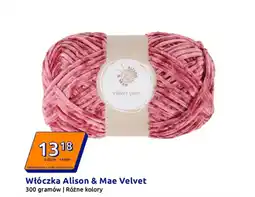 Action Włóczka Alison & Mae Velvet oferta