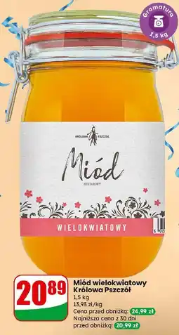 Dino Miód wielokwiatowy Cd Królowa Pszczół oferta