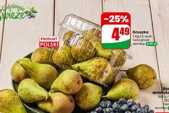 Dino Gruszki oferta