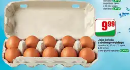 Dino Jaja z wolnego wybiegu kl. m oferta