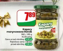 Dino Kapary marynowane oferta