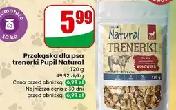 Dino Trenerki wołowe Pupil Natural oferta