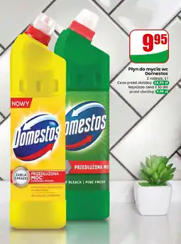 Dino Płyn do wc citrus fresh Domestos oferta