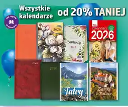 Dino Kalendarz ścienny oferta