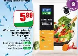 Dino Warzywa na patelnię z ziemniakami oferta