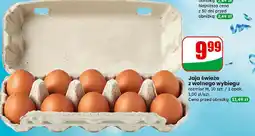 Dino Jaja świeże z wolnego wybiegu rozmiar M oferta