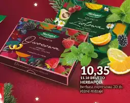 Eurocash Herbapol herbata ekspresowa oferta