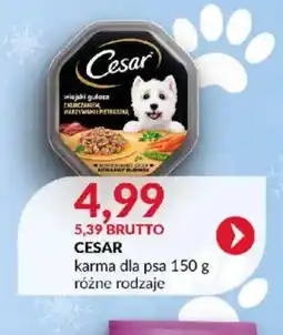 Eurocash Karma dla psa Cesar oferta