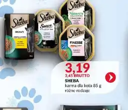 Eurocash Sheba karma dla kota oferta