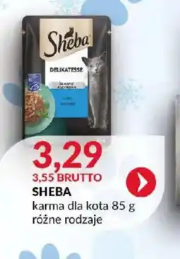 Eurocash Sheba karma dla kota oferta