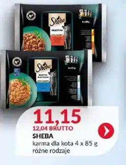 Eurocash Sheba karma dla kota oferta