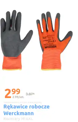 Action Rękawice robocze Werckmann oferta