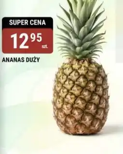bi1 Ananas Duży oferta