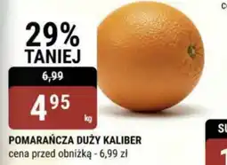 bi1 Pomarańcza oferta