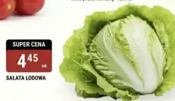 bi1 Sałata lodowa oferta