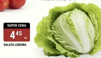 bi1 Sałata lodowa oferta