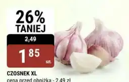 bi1 Czosnek XL oferta