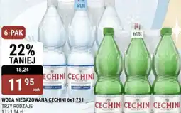 bi1 Woda Cechini oferta