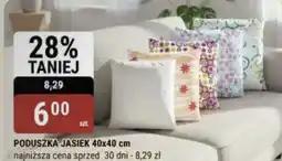 bi1 Poduszka Jasiek 40x40 cm oferta
