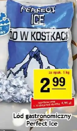 Gram Market Perfect Ice lód gastronomiczny oferta