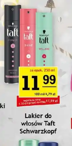 Gram Market Schwarzkopf Lakier do włosów Taft oferta