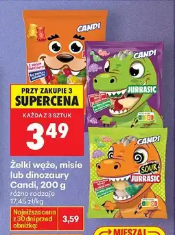Biedronka Żelki węże, misie lub dinozaury różne rodzaje oferta