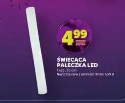 Stokrotka Swiecąca pałeczka LED oferta