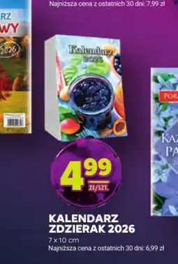 Stokrotka Kalendarz Zdzierak 2026 oferta