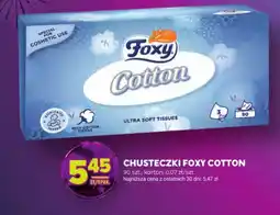 Stokrotka Foxy Chusteczki Cotton oferta