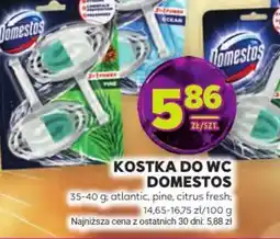 Stokrotka Domestos kostka do WC oferta