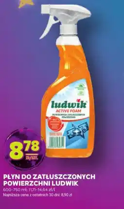 Stokrotka Ludwik płyn do zatłuszczonych oferta