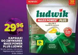 Stokrotka Ludwik Kapsułki Maxx Power Plus oferta