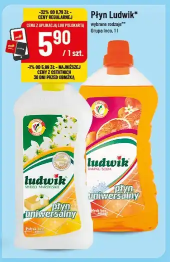 Polomarket Płyn Ludwik oferta