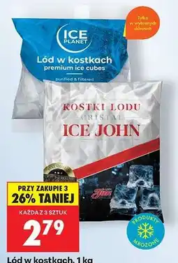 Biedronka Lód w kostkach oferta