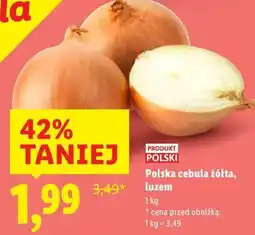 Lidl Polska cebula żółta, luzem oferta