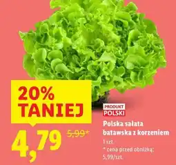 Lidl Polska sałata batawska z korzeniem oferta