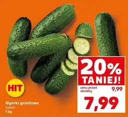 Kaufland Ogórki gruntowe oferta