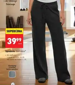 Biedronka Spodnie damskie oferta