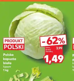 Kaufland Polska kapusta biała oferta